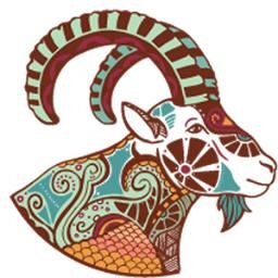 Tell us what type of Capricorn you are?