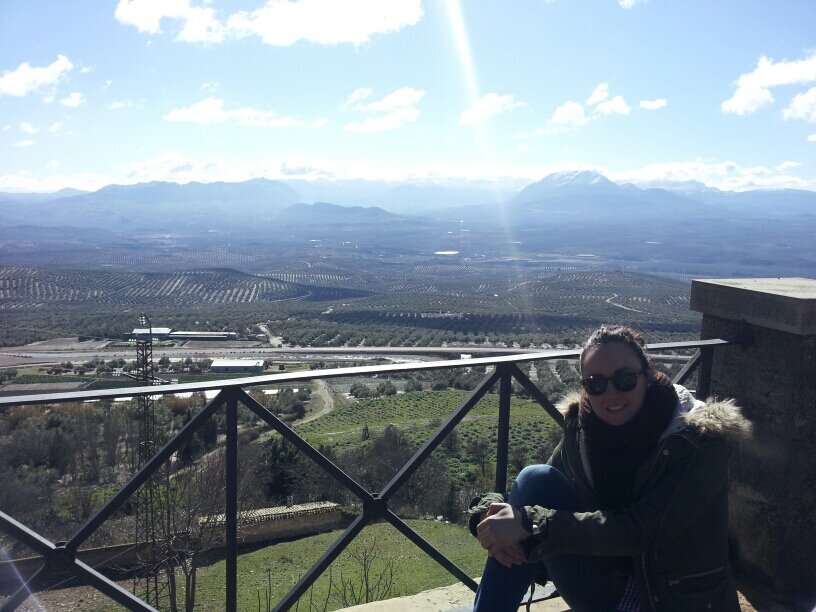 Ingeniero Agrónomo. Baeza (Jaén)