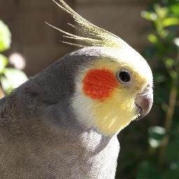 arantics's profile picture. Dinamizadora social  a través de las TIC. Software libre, ciencia y tecnología, naturaleza, libros, música,  etc.