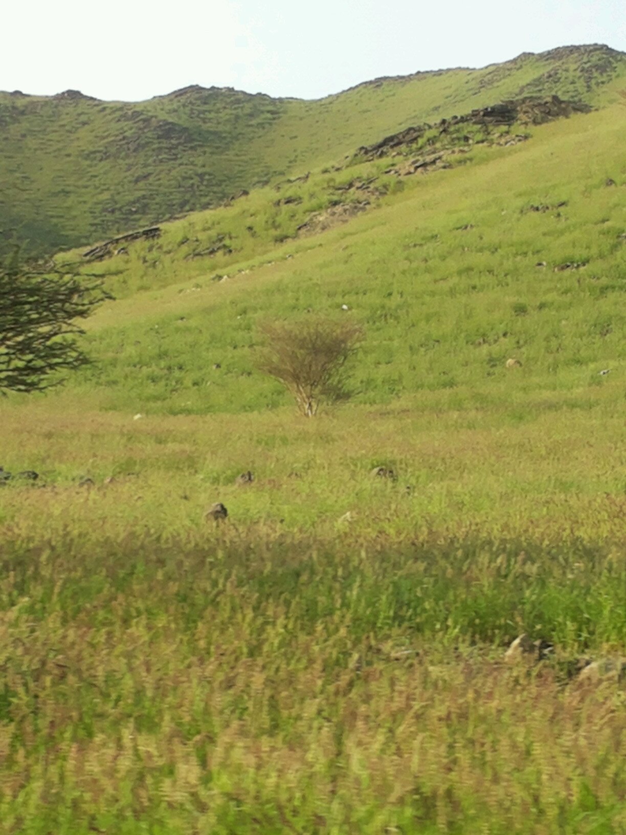 wwwfahbslm's profile picture. 