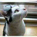 Vicky cheng - @vickycheng523 - Twitter