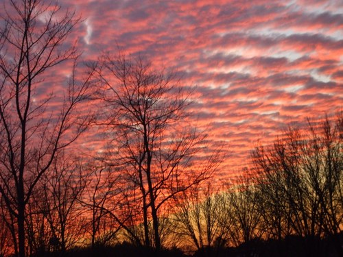 Toners4Life's profile picture. Created to give back to our communities and nonprofit organizations who exist unselfishly for You and I... Social Responsibility...