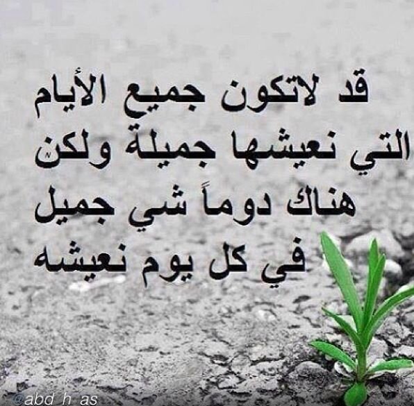 mozad2009's profile picture. 