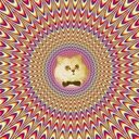 jonathan joya - @joya_j10 - Twitter