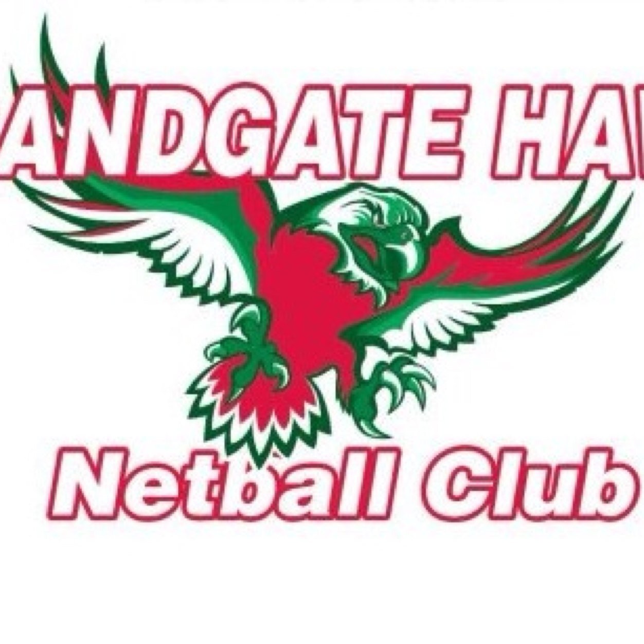 The official Sandgate Hawks Netball Club Twitter account. 

https://t.co/xK1kHG8BZ0