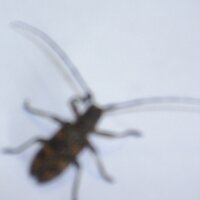 colm hussey (@rollover74) 's Twitter Profile Photo