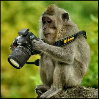 Resse_SEyam's profile picture. 26.08.1998|unda nec simle ,, handk bisi bnyak kwan bnr.e nahWkwkkwkwkwkwkkk :D