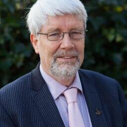 Bestuurslid GroenLinks afdeling Renkum. Bestuurslid Sector Rijk Vakbond CMHF. Bestuurslid SOS Dolfijn. Kandidaat gemeenteraadslid. Lid Partijraad GroenLinks.