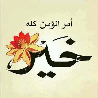 HananSaqr's profile picture. 