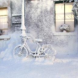Animal Person, Coffee Addict, News Junkie, Insight Hunter; Loving Snow; Healed by Good Music;  Dreaming of a Lifestyle in Walden
