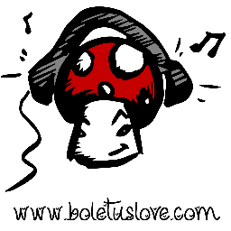 BoletusLove's profile picture. Amor de seta