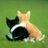 ndoglanang's profile image