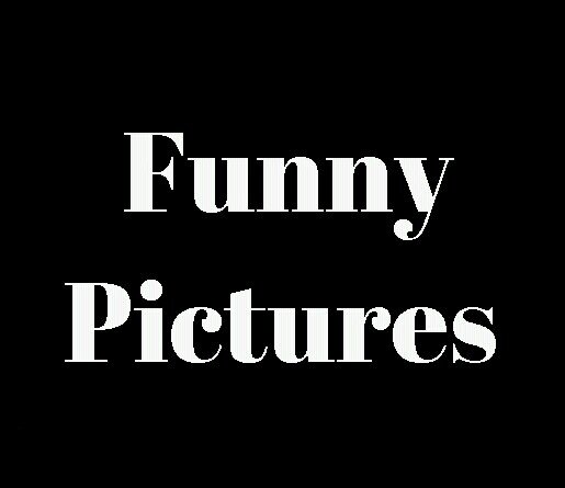 I post funny pictures daily