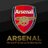 ArsenalANPI's profile image