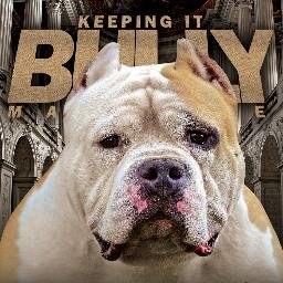 We are an urban magazine company solely focused on the lifestyle of the bully breed and everything associated with it!