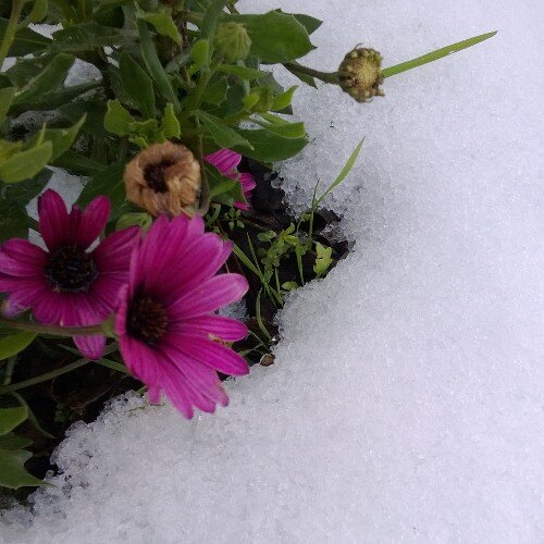 TrSuleyman2013's profile picture. 