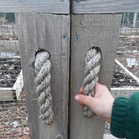 DIY Backyard Farmer (@diyediblegarden) 's Twitter Profile