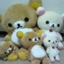 bear (@1964bear18) Twitter