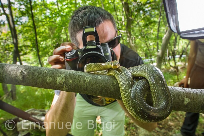 Naturalista, studente di Biologia, Fotografo.