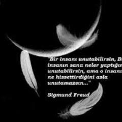 Mutsuzluğu tatmadan, hep mutlu olmak istersin. Oysa nelerin seni mutsuz ettiğini bilmeden, nelerle mutlu olacağını bilemezsin.  ( sigmund freud )