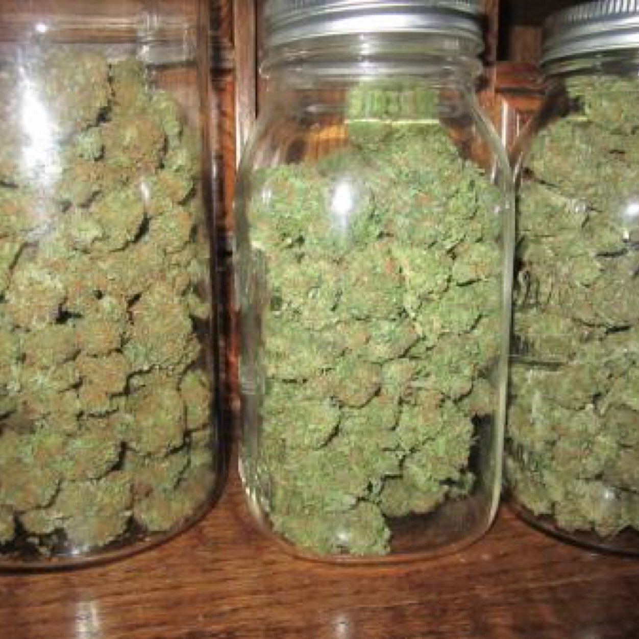 LCC_420's profile picture. Light it up and toke it