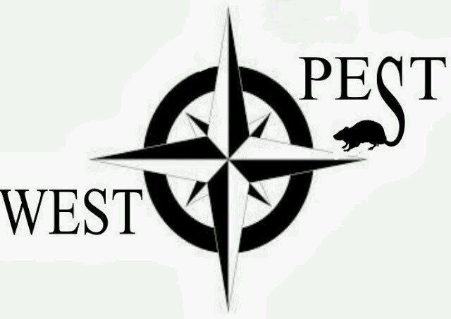 West_Pest's profile picture. 