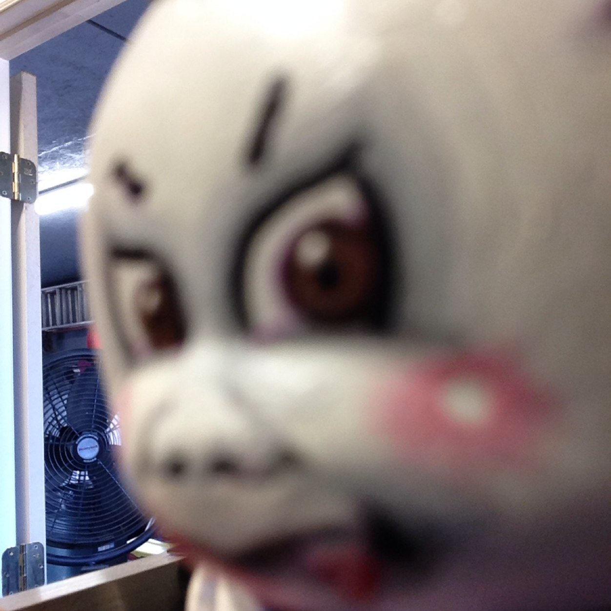 jason66590646's profile picture. Binary Alpha Male Programmer