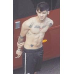 zayn | single | bisex | sono uno stronzo bipolare | dm sempre aperti