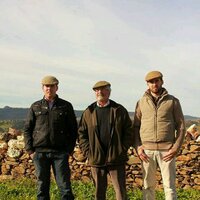 Sergio Sanchez Roman (@roman_ssr) 's Twitter Profile