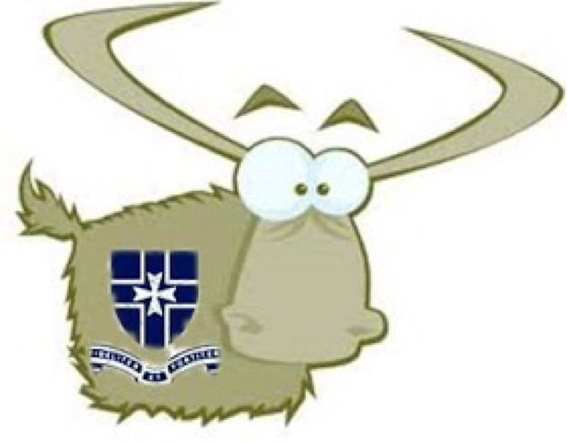 CasadyYAC's profile picture. The service part of a cyclones heart.