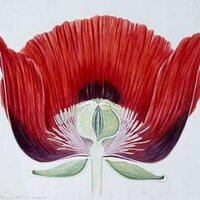 NHM Library and Archives (@nhm_library) 's Twitter Profile Photo