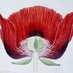 NHM Library and Archives (@nhm_library) Twitter profile photo