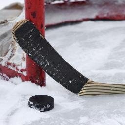 Explaining the everyday life of a Hockey Fan!