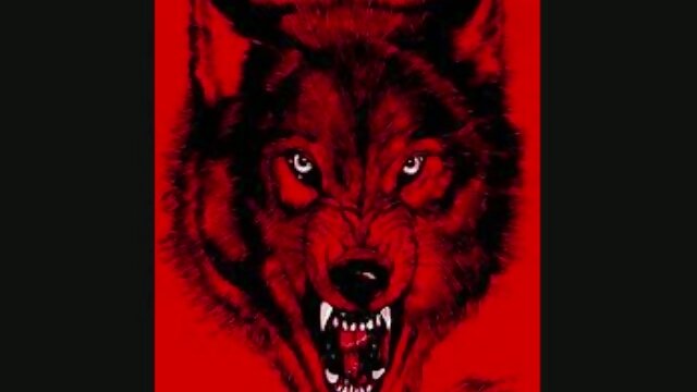 dwo 4 life/BullettClubBoyz
Certified Thief