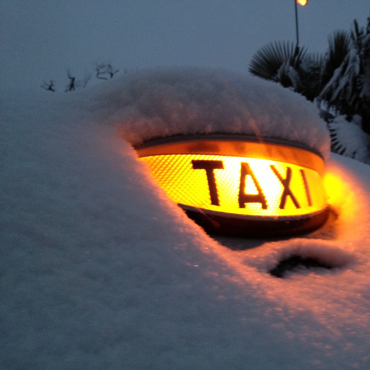 All London black cab driver with a heart of gold, nerves of steel and a knob of butter.
Reposts not an endorsement