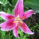 Helen MacLean - @macleaha - Twitter