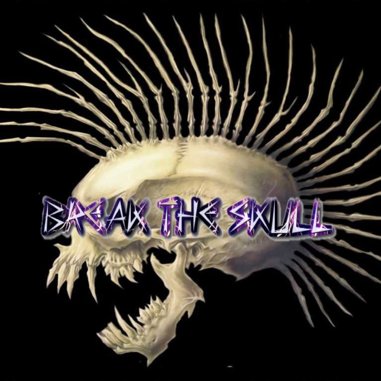 Break The Skull Is A Sick Clothing Line Created By @Chrisbtfarmy666