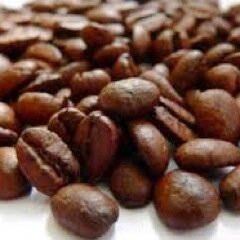 Import-Export caffe' crudo e tostato -
F & b multibrand 
Italia