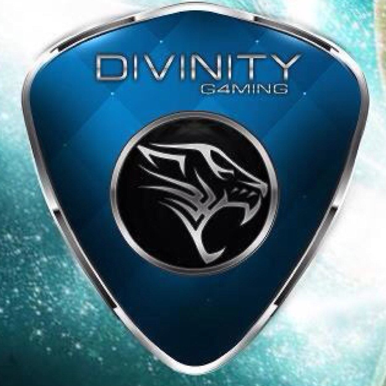 Divinity G4ming Profile