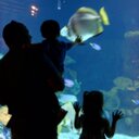 chris blackstone - @clblackstone - Twitter