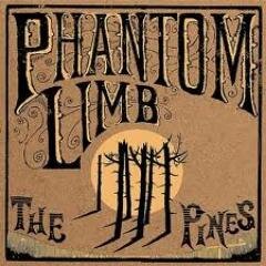 PhantomLimbBand's profile picture. We play Country and Soul music. New Album The Pines, recorded in Long Beach, California with Marc Ford.