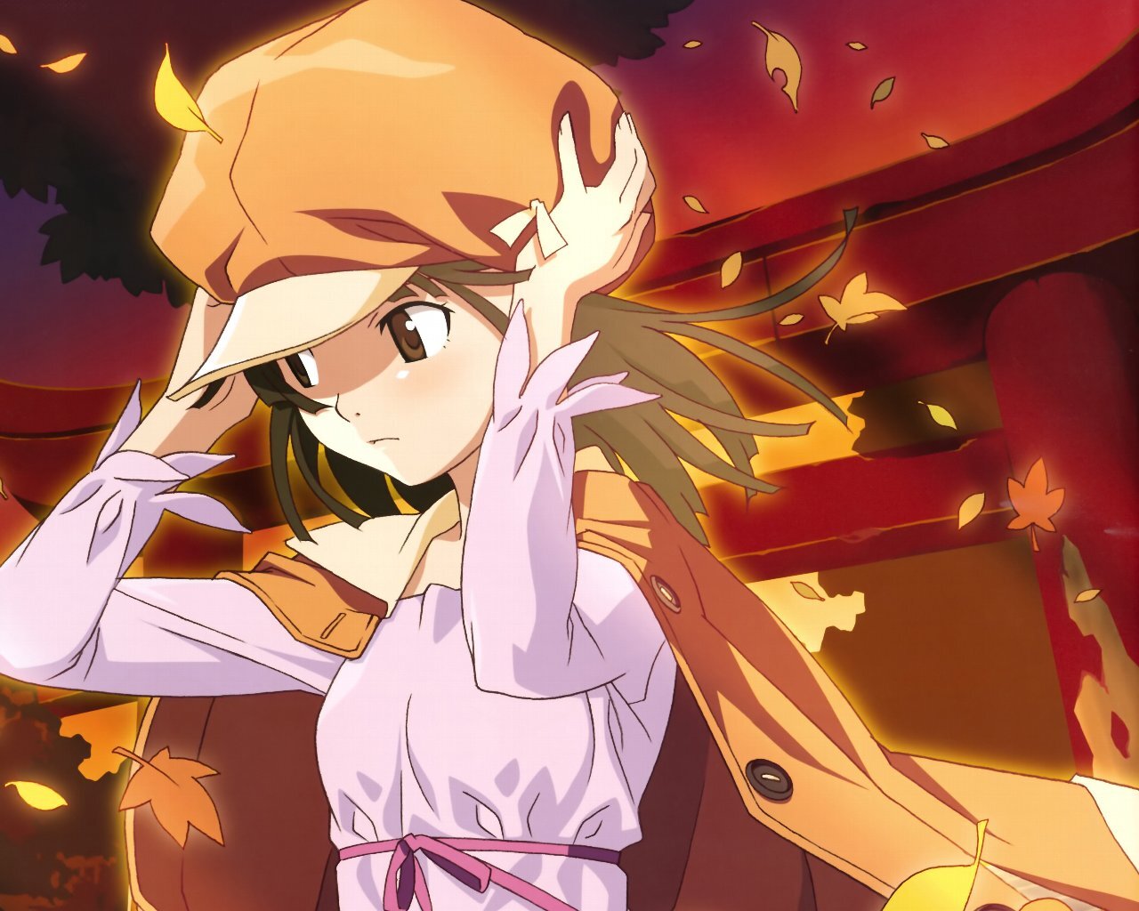 eletmsgryyear's profile picture. 