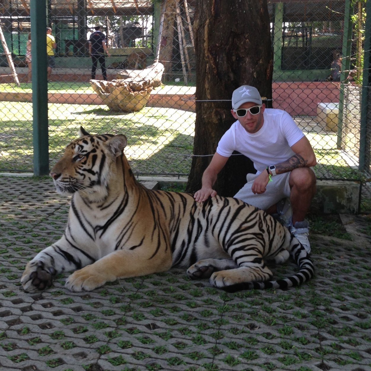 stulanham84's profile picture. 