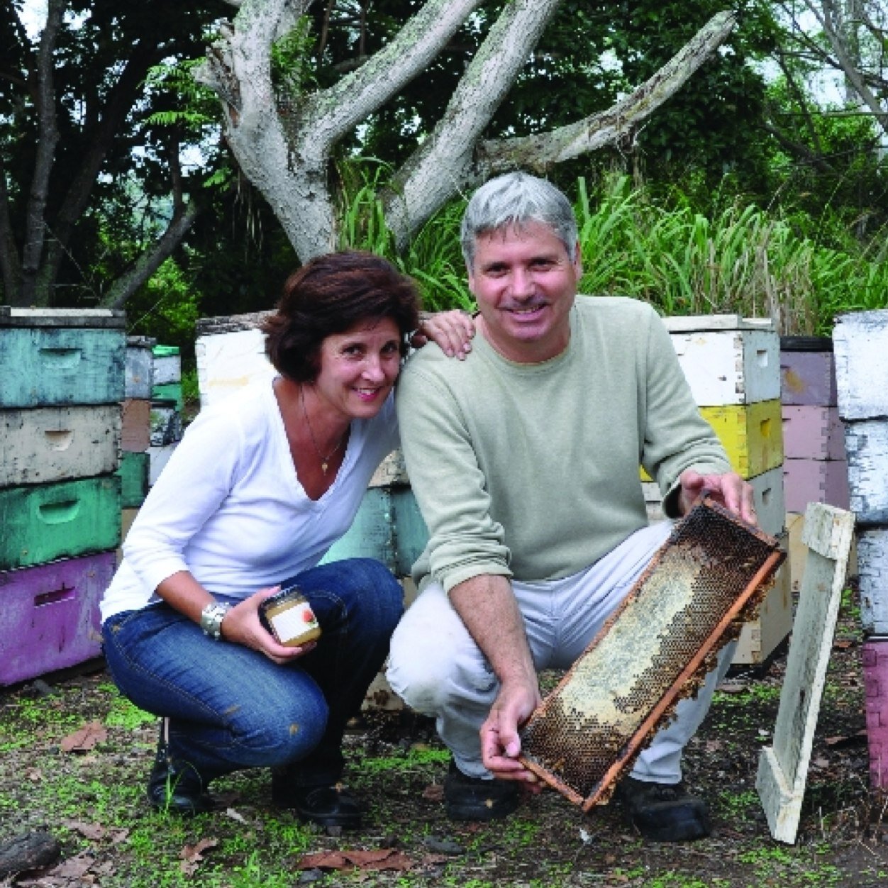 Largest producers of Rare, Raw, and Organic Hawaiian honey since 1972. Visit our museum and store in the town of Captain Cook on the Big Island of Hawaii.