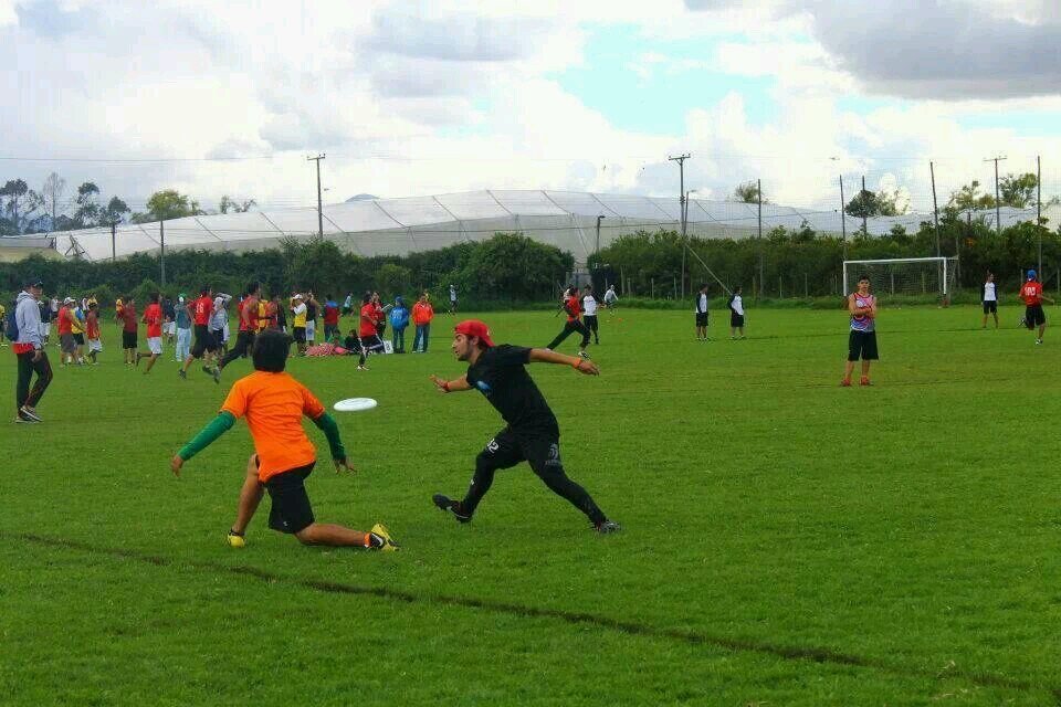 ivan_canizales's profile picture. Ultimate frisbee - Hasta la muerte pericos eléctricos #44.