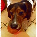 dan - @DanDillon5446 - Twitter