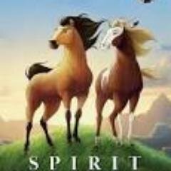 I like Animation films and  SPIRIT is my favourite animated movie.