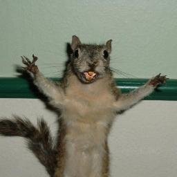 sergey837's profile picture. 