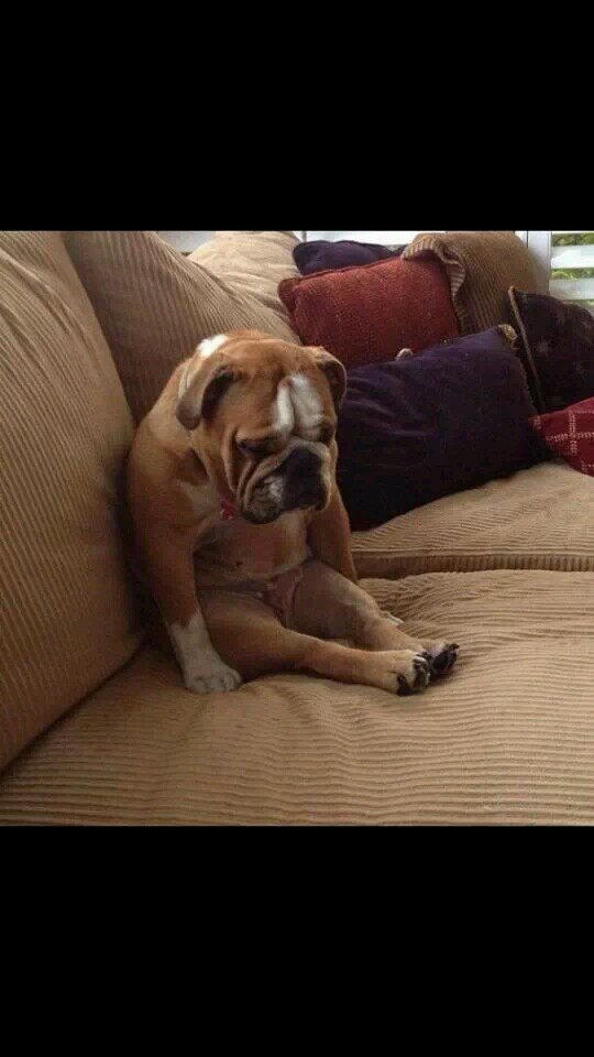 tatsumi13415's profile picture. ビジネスに興味がある大学生。就活したくないから面白い事ないかと模索中ー(´・c_・`)