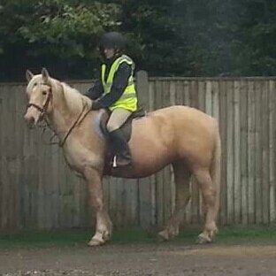 Horses and Youtube are my passions! I (un)follow back.